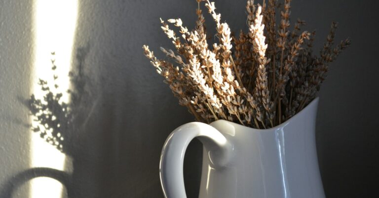 Dried lavender in a white jug, with a strip of sunlight and its shadow on the wall beside it