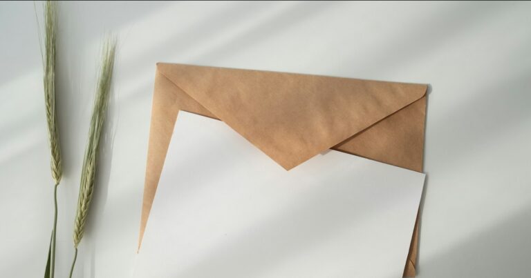 Blank card resting on a brown paper envelope beside two stalks of dried grass in soft light