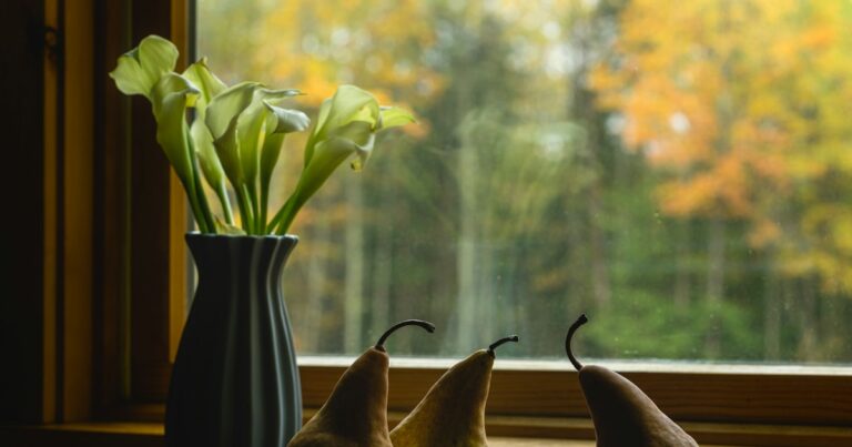 Calla lilies in a dark vase and 3 pears on a windowsill, with autumn trees blurred outside