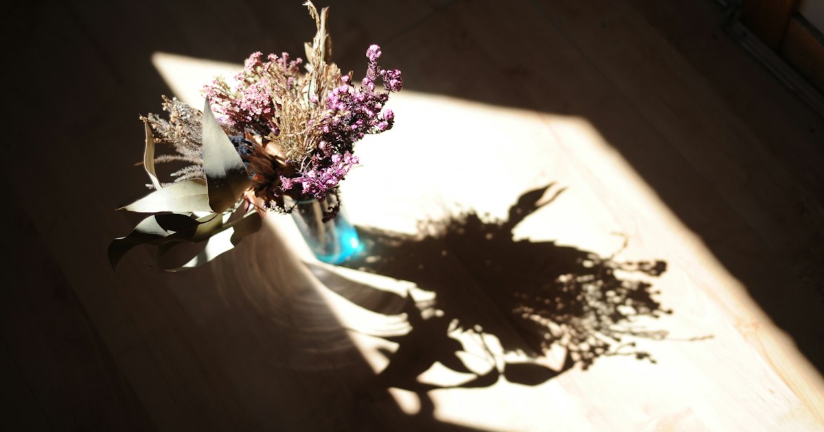Dried flowers in a small glass vase casting a long shadow across a sunlit wooden floor