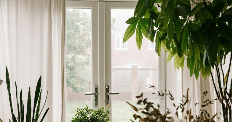 Glass garden doors framed by white curtains and leafy house plants in soft daylight