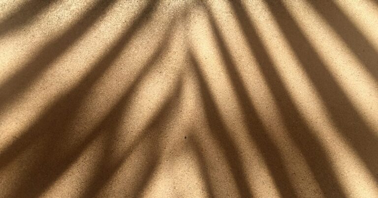 Soft leaf shadow falling across a warm sand coloured wall