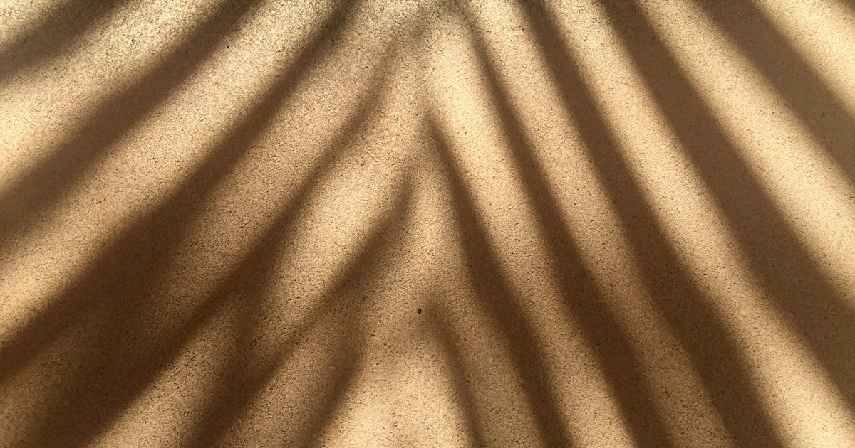 Soft leaf shadow falling across a warm sand coloured wall
