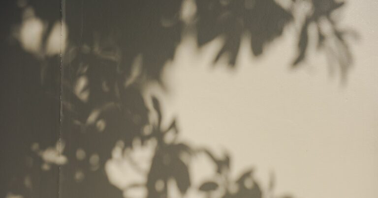 Soft shadows of leaves falling across a pale cream wall