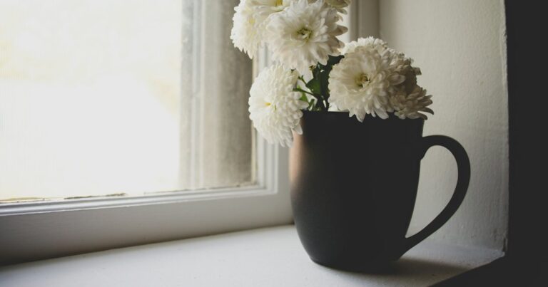 White chrysanthemums in a dark mug on a bright windowsill