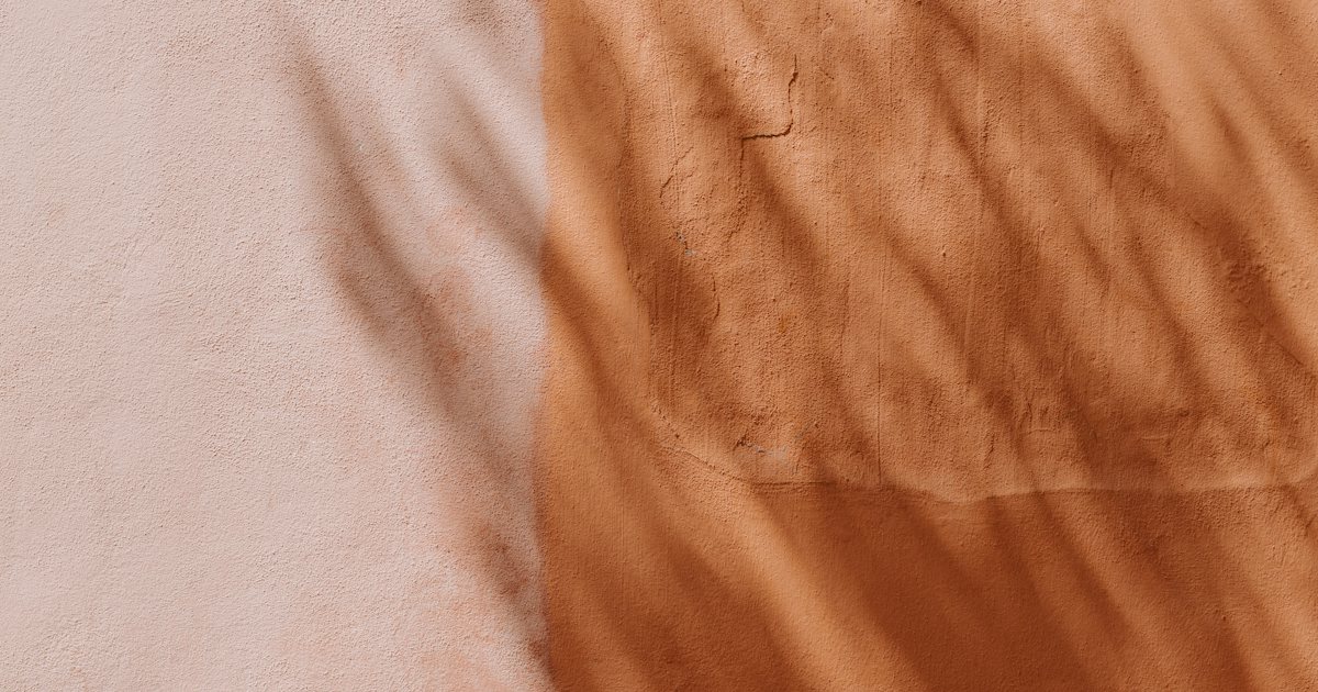 A sunlit wall painted half pale pink and half terracotta, with soft leaf shadows falling across both colours
