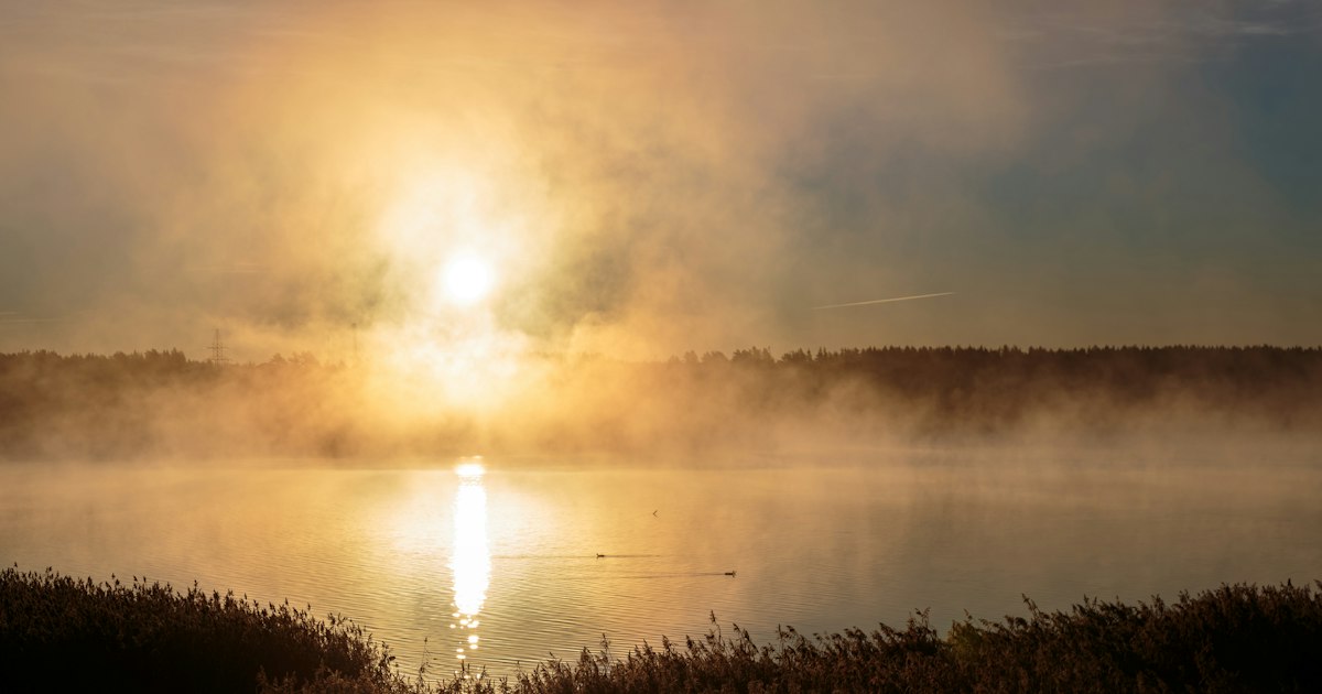 Morning sun breaking through mist over a still lake with reeds in the foreground
