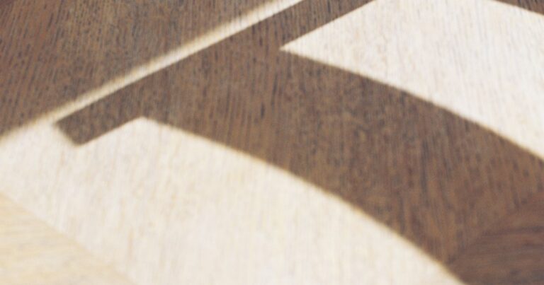 Angled sunlight casting a sharp shadow shape across a pale wooden floor