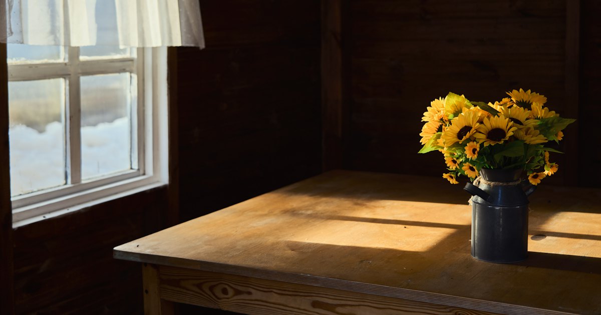 Sunflowers in a metal jug on a wooden table lit by a window