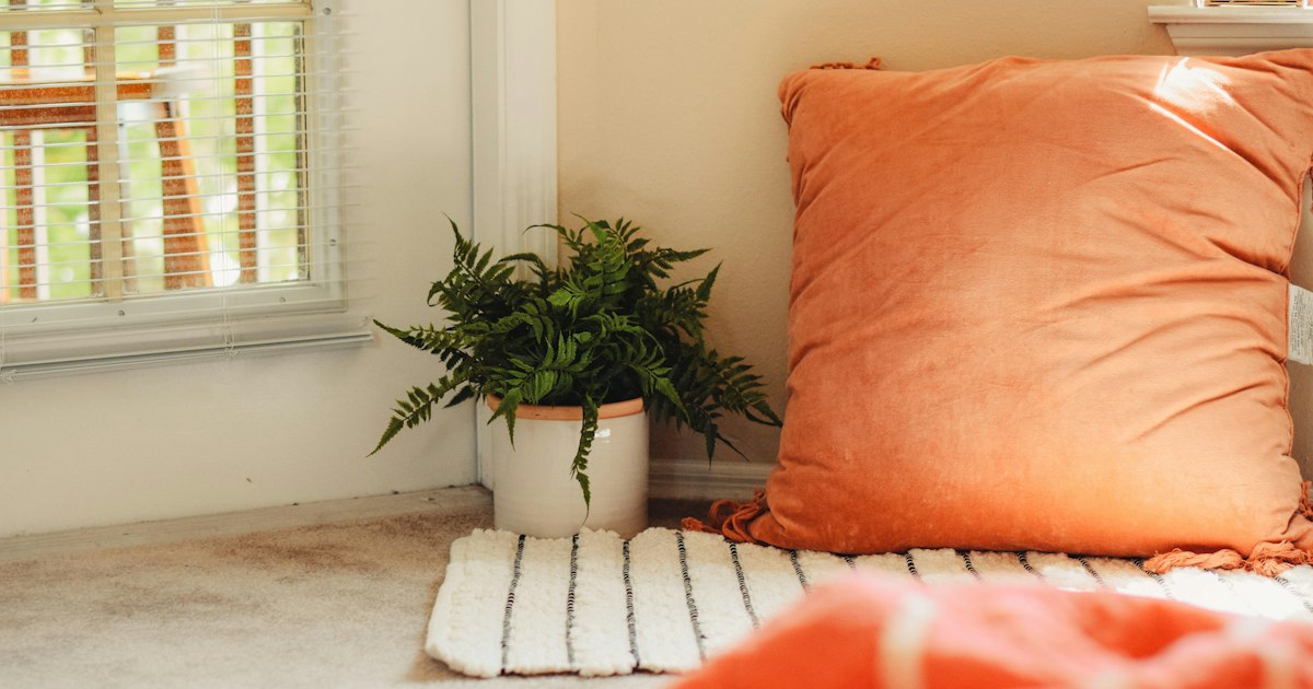 A sunlit corner by a window with a fern in a white pot and a large orange cushion on a striped rug