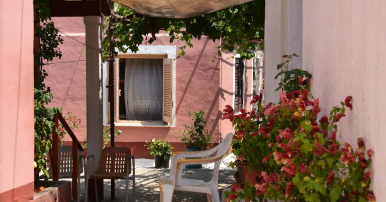 A sunny courtyard with pink walls, mismatched chairs and red flowers under a vine