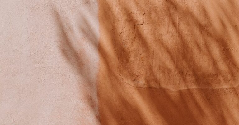 A plaster wall painted half pale pink and half terracotta, with soft leaf shadows falling across both colours