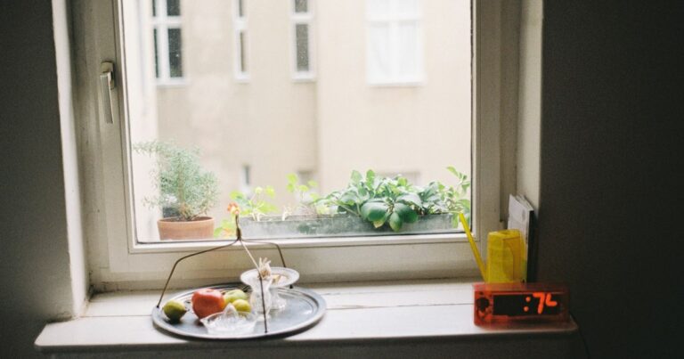 Windowsill of a city flat with potted herbs, a tray of fruit and a view of the building opposite