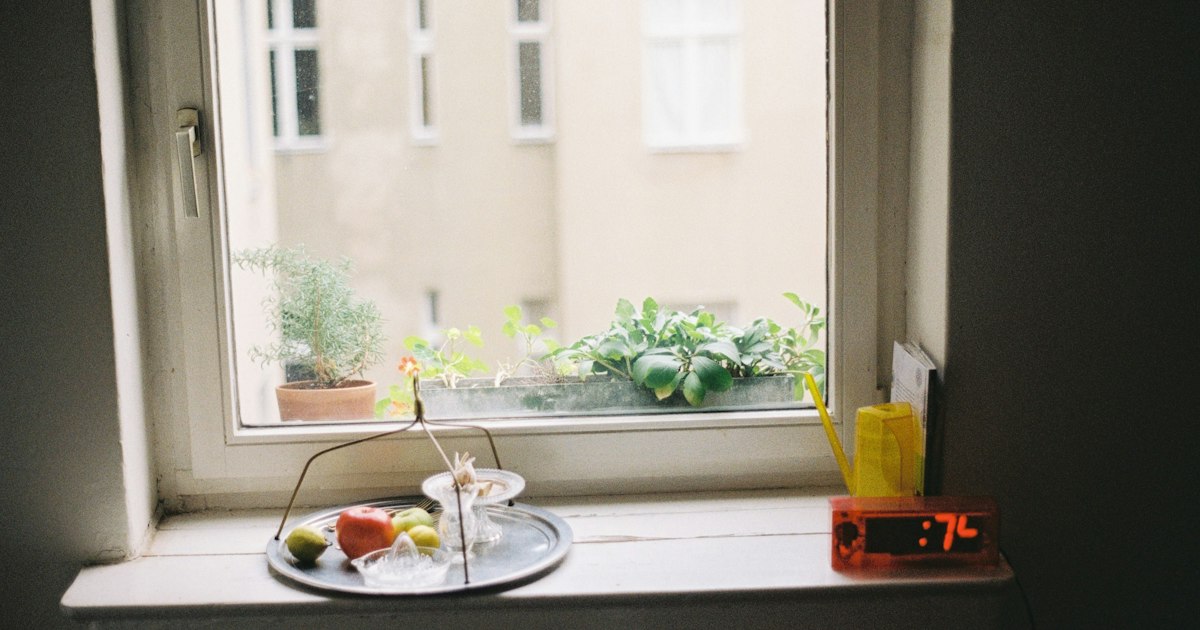 Windowsill of a city flat with potted herbs, a tray of fruit and a view of the building opposite